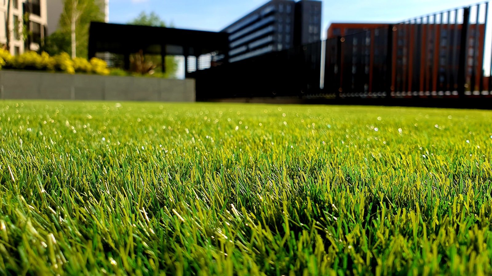 Freshly mowed green lawn with stripes
